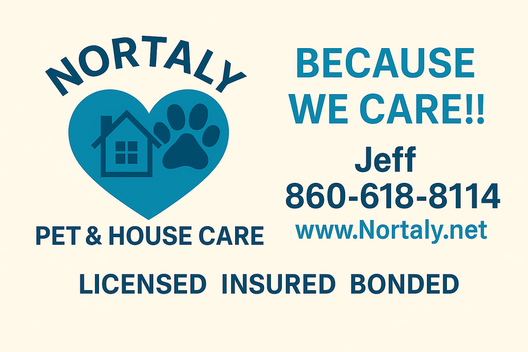 Nortaly LLC logo