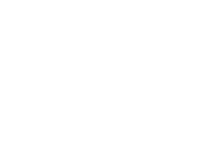 Garau Game Studio logo