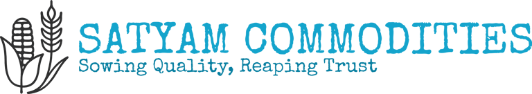 Satyam Commodities logo