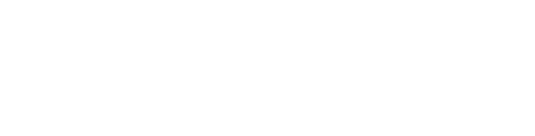 Dani Cruz logo