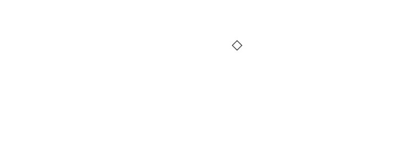Dani Cruz logo