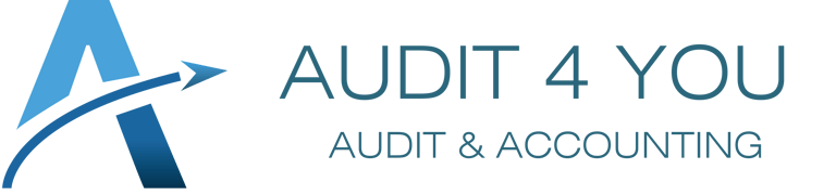 AUDIT 4JU TP Shenasi Bajrami logo