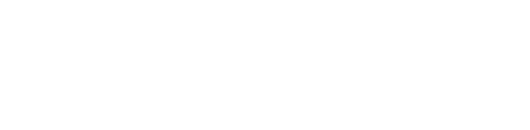 Seputar Papua TV logo