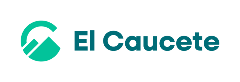 Belisur logo