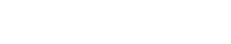 deslaian logo