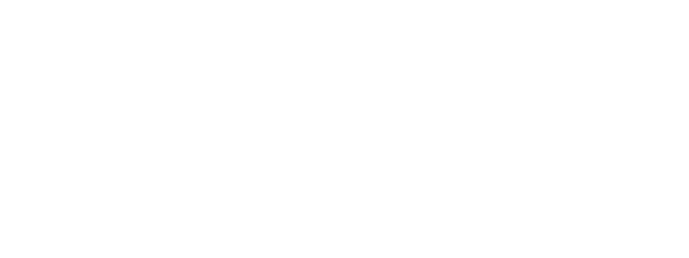 BOIS EMOIS logo
