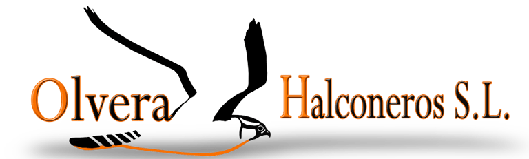 Olvera Halconeros SL logo