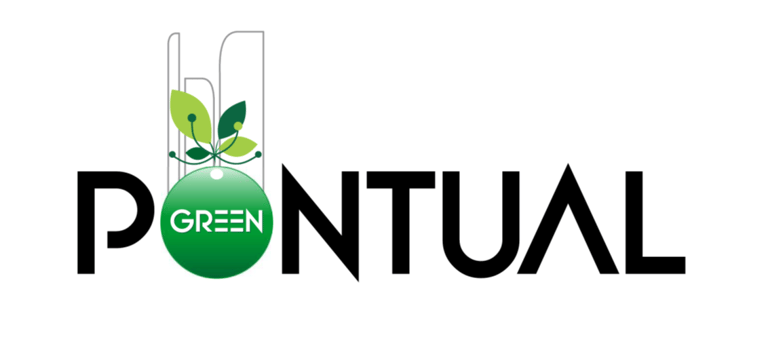 Pontual Green logo