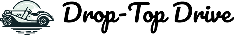 Drop Top Drives logo
