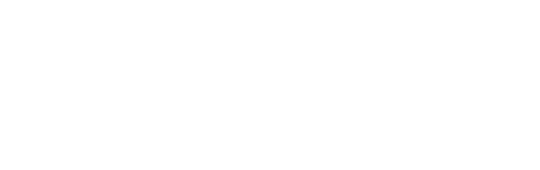 Synapzia AI  logo