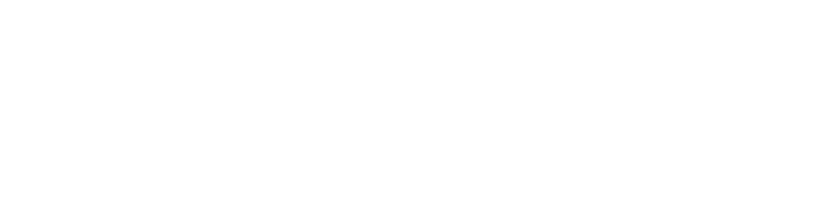 BenomadVan logo