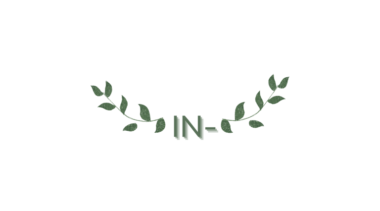 IN- logo