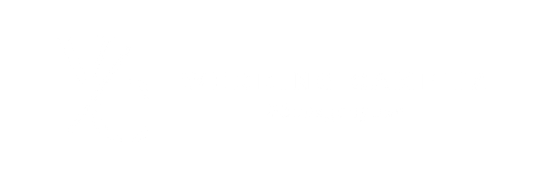Vincenzo Camelia logo
