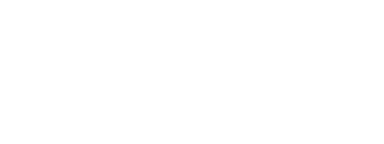 CEFEIN Estudios e Investigaciones para las Neurociencias logo