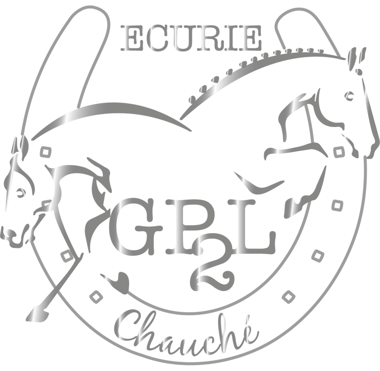 Ecurie de propriétaires GP2L Chauché Vendée logo