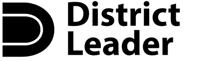 How to run for District Leader logo