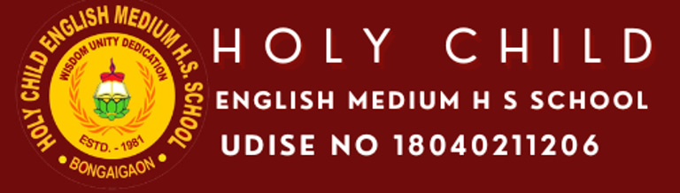 HOLYCHILD HS HCHOOL logo