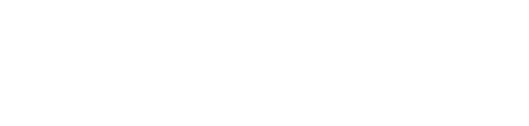 BRIDGEWATER CONSULTANTS logo