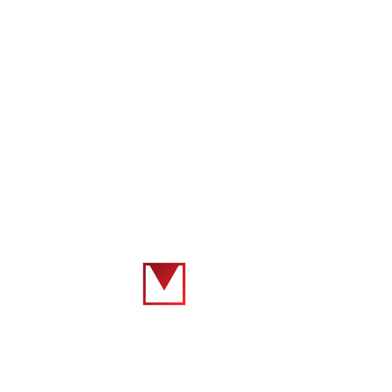 Studio Minimalist logo