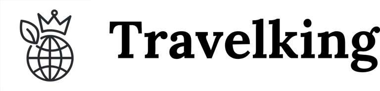 TravelKing logo