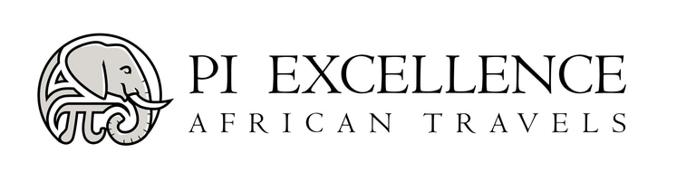 Pi Excellence logo