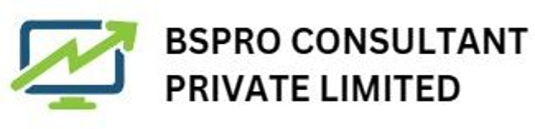 BS PRO CONSULTANT PVT LTD logo