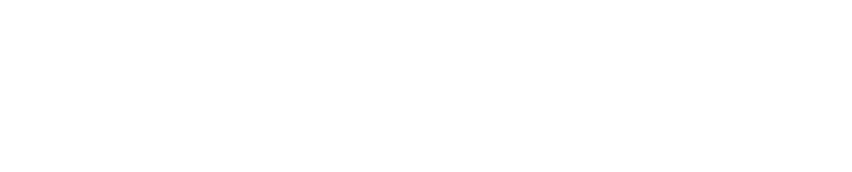 Dragon Street Cats logo