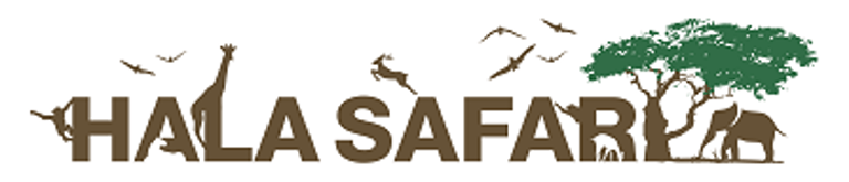 HALA SAFARI logo