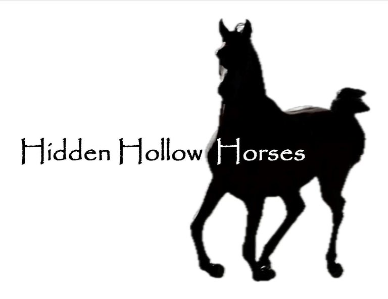 Hidden Hollow Horses logo