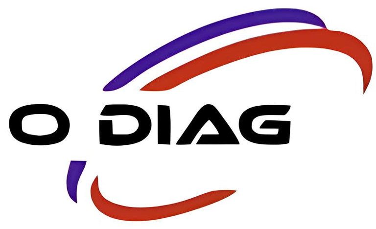 Ô DIAG diagnostics immobilier logo
