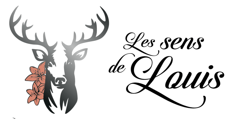 Le sens de Louis logo