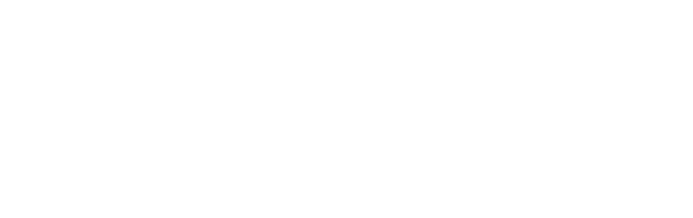 Personal website NM logo