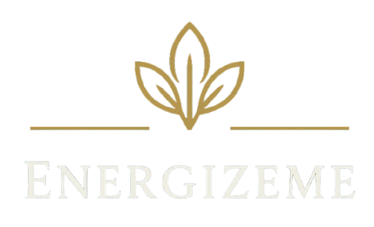 Energizeme logo
