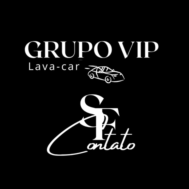 Lava Car Grupo Vip logo