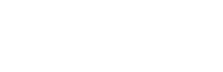 Literacy & Language Institute logo