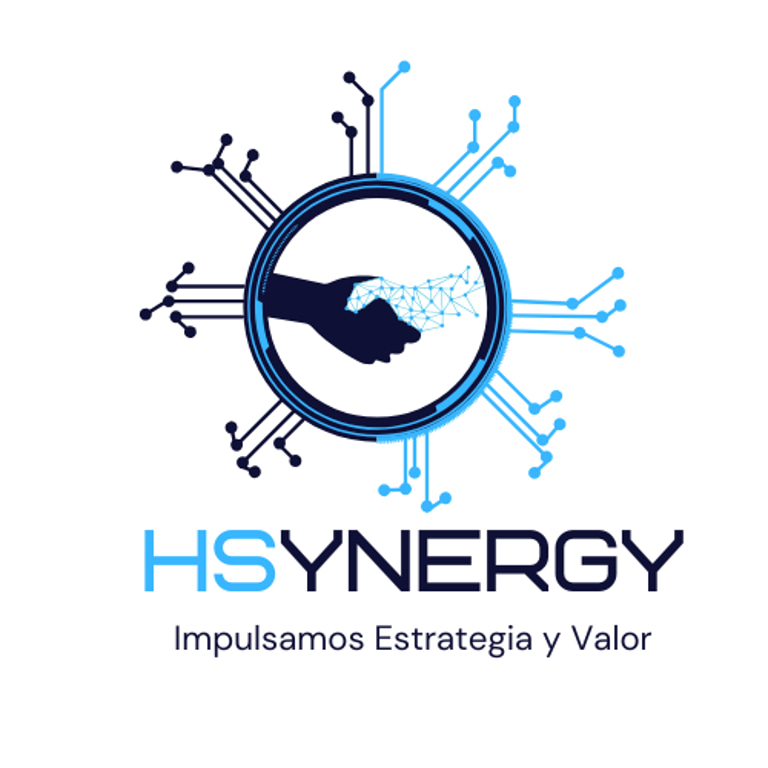 HSynergy Consulting logo