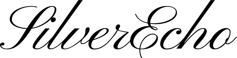 SilverEcho.icu logo