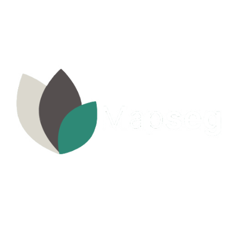 Mapseg Ambiental Engenharia logo