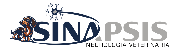 Sinapsis Neurología Veterinaria logo