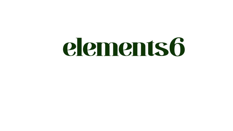 elements6, supplements adaptogens, tea, juice, natural wellness, seamoss, plant source logo
