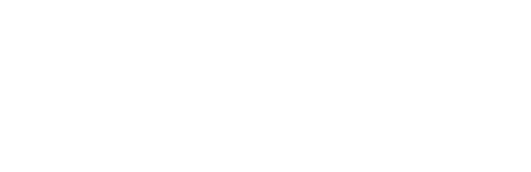 Ziggy Lou graphisme illustration DJ logo