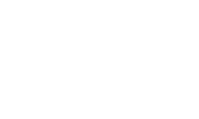 Blue Swan logo