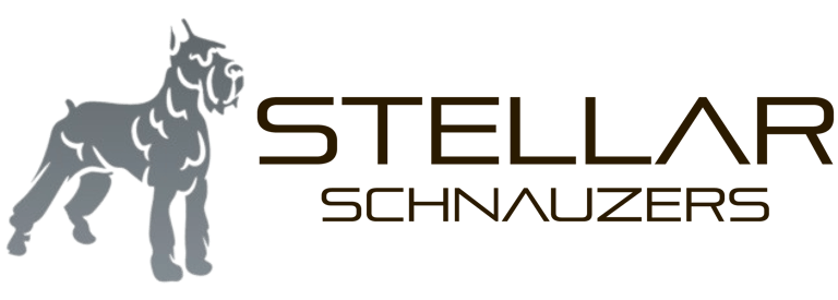 Rocky Mountain Schnauzers logo