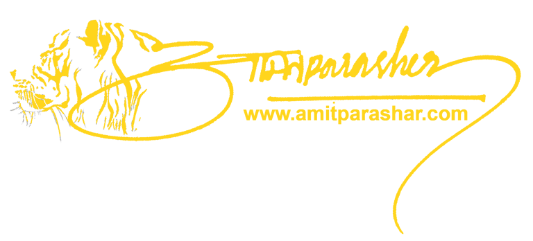 Amit Parashar logo