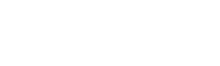 Anghelina Film logo