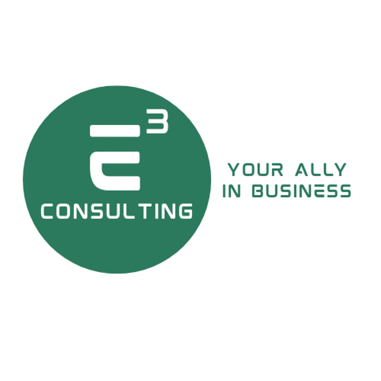 E3 Consulting logo