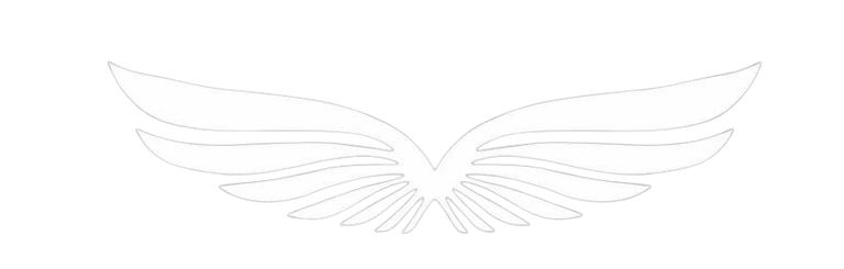 Flayer Clothing logo