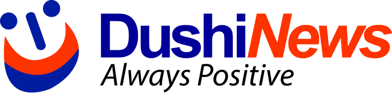 DushiNews  logo