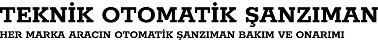 TEKNİK OTOMATİK ŞANZIMAN SERVİSİ logo