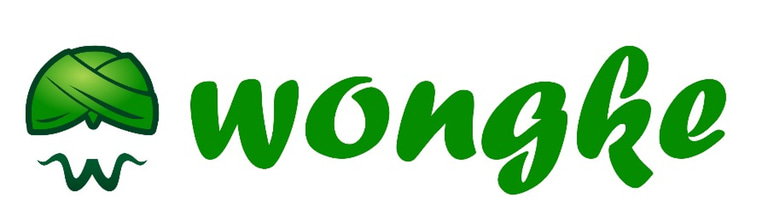 wongke logo